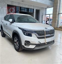 کیا سێلتۆس